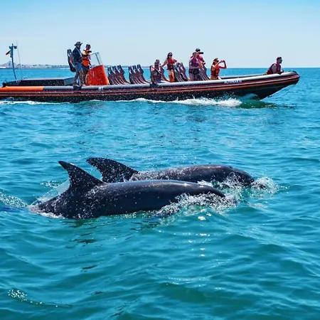 Blue Moon Maison d'hôtes 3*